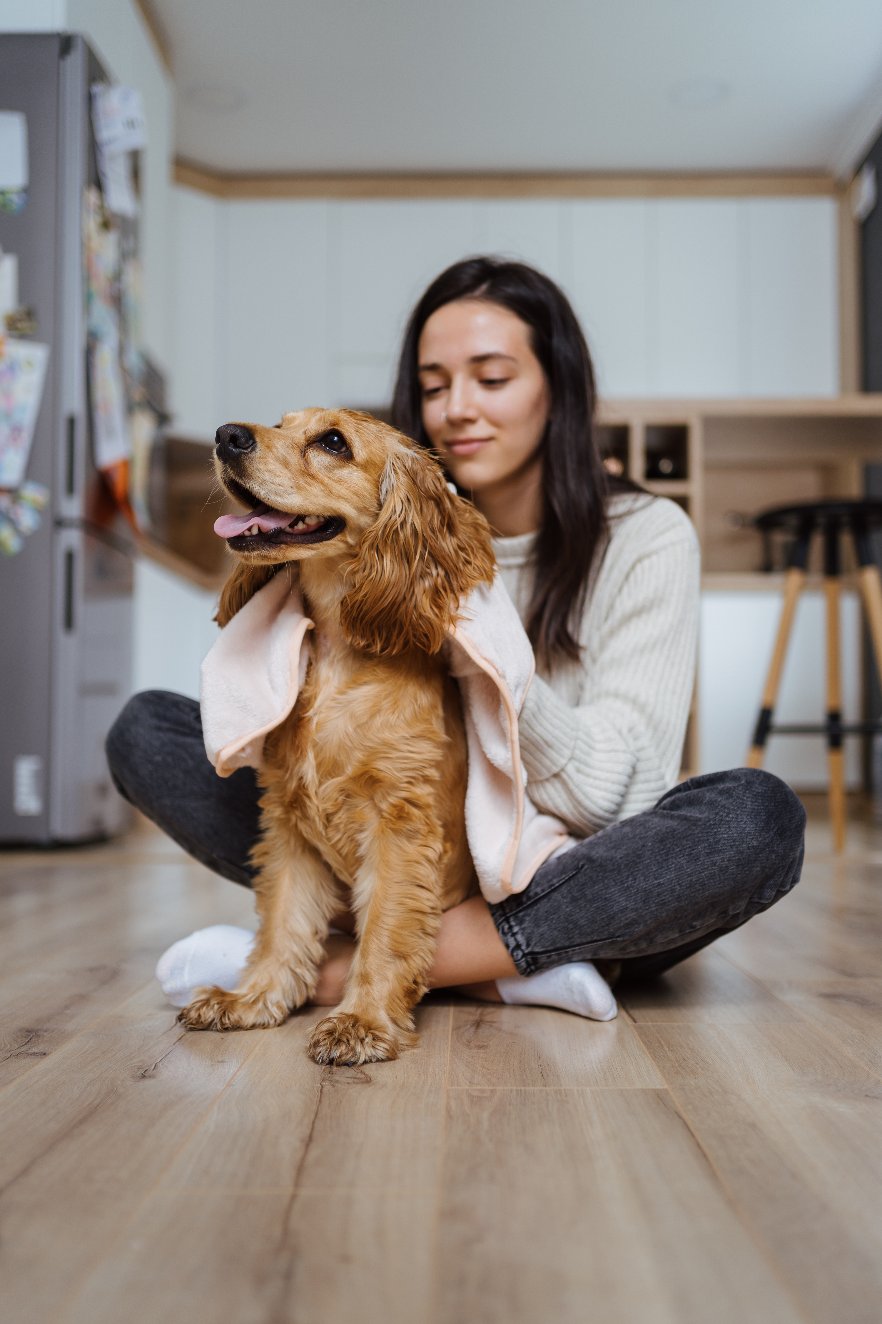 Pleasant photo about taking care and playing with a dog